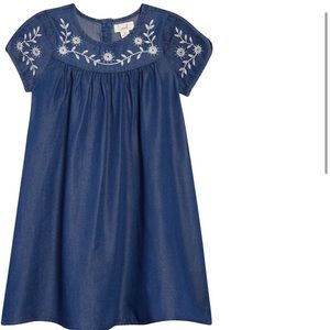 Toddler Girl Denim Dress 2T